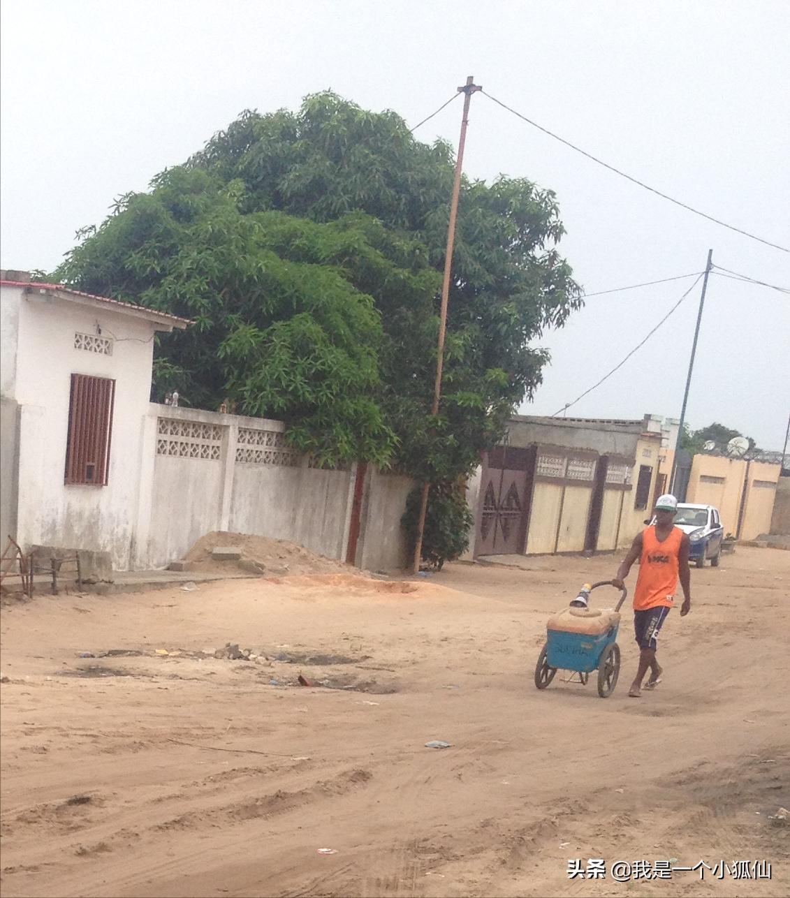 瀹夊摜鎷夊崠娣,瀹夊摜鎷夌粍缁囧崠娣