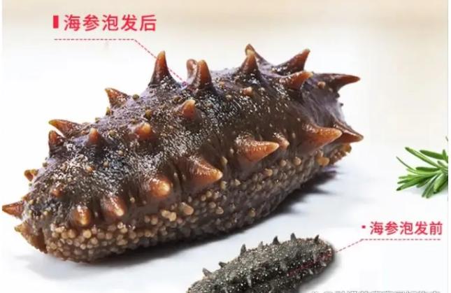 什么品牌海参质量最好最便宜,市场海参最好的是哪种
