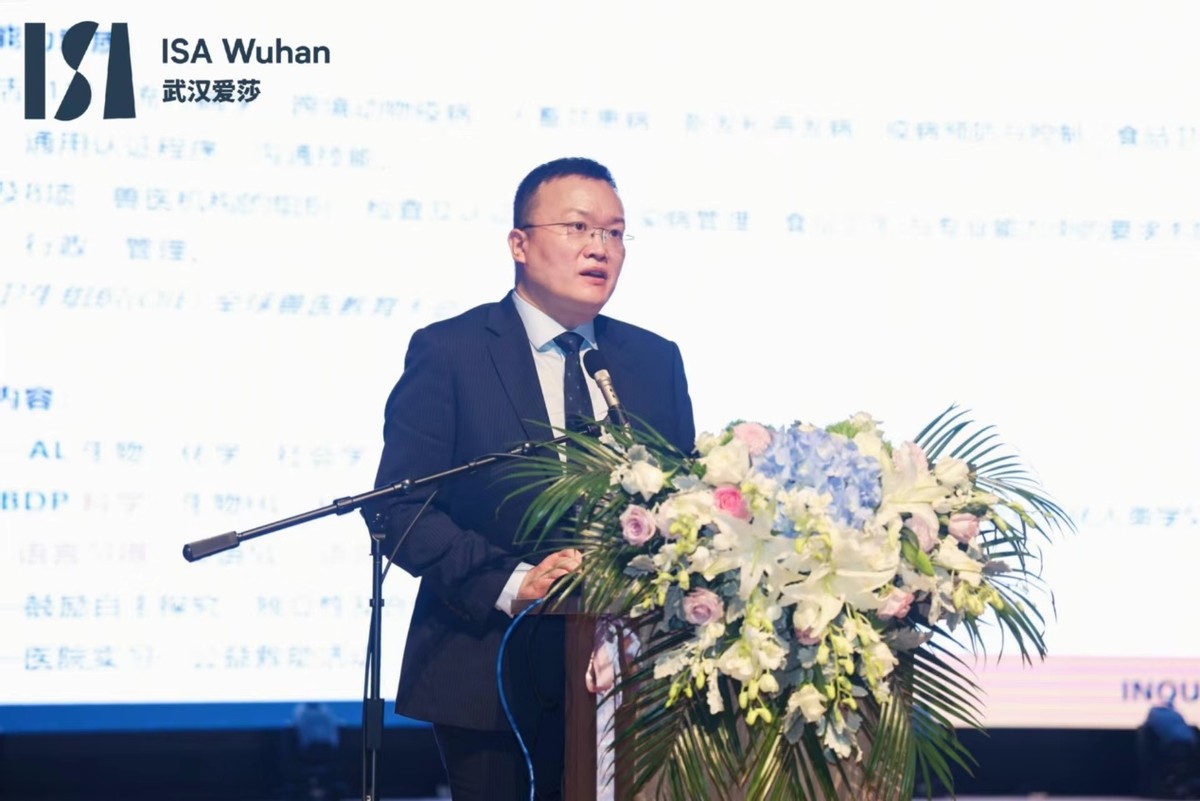 爱莎国际学校武汉活动,武汉爱莎国际学校alevel