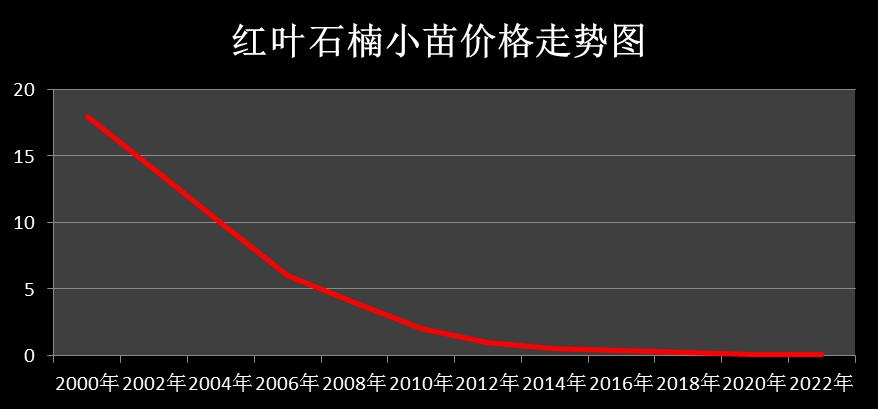 森禾红叶石楠,森禾2.0