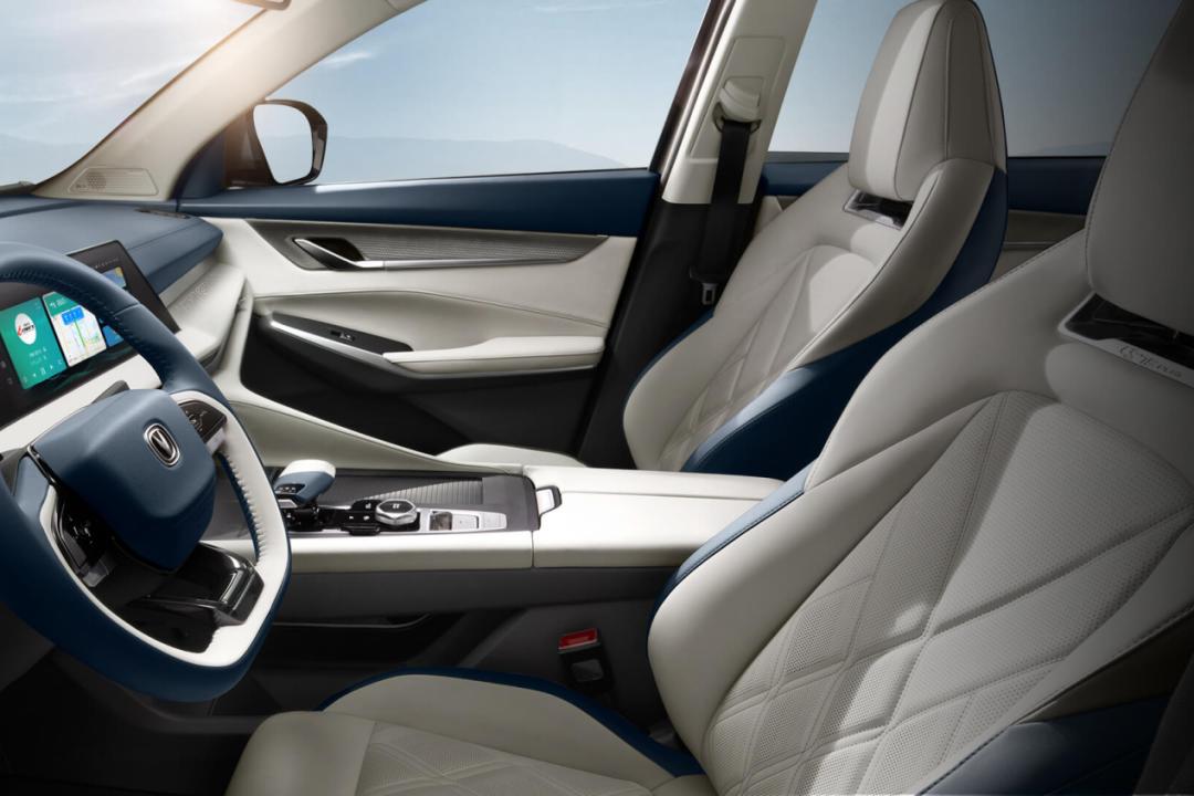 世界杯决赛中国对战巴西,世界杯决赛中国vs巴西