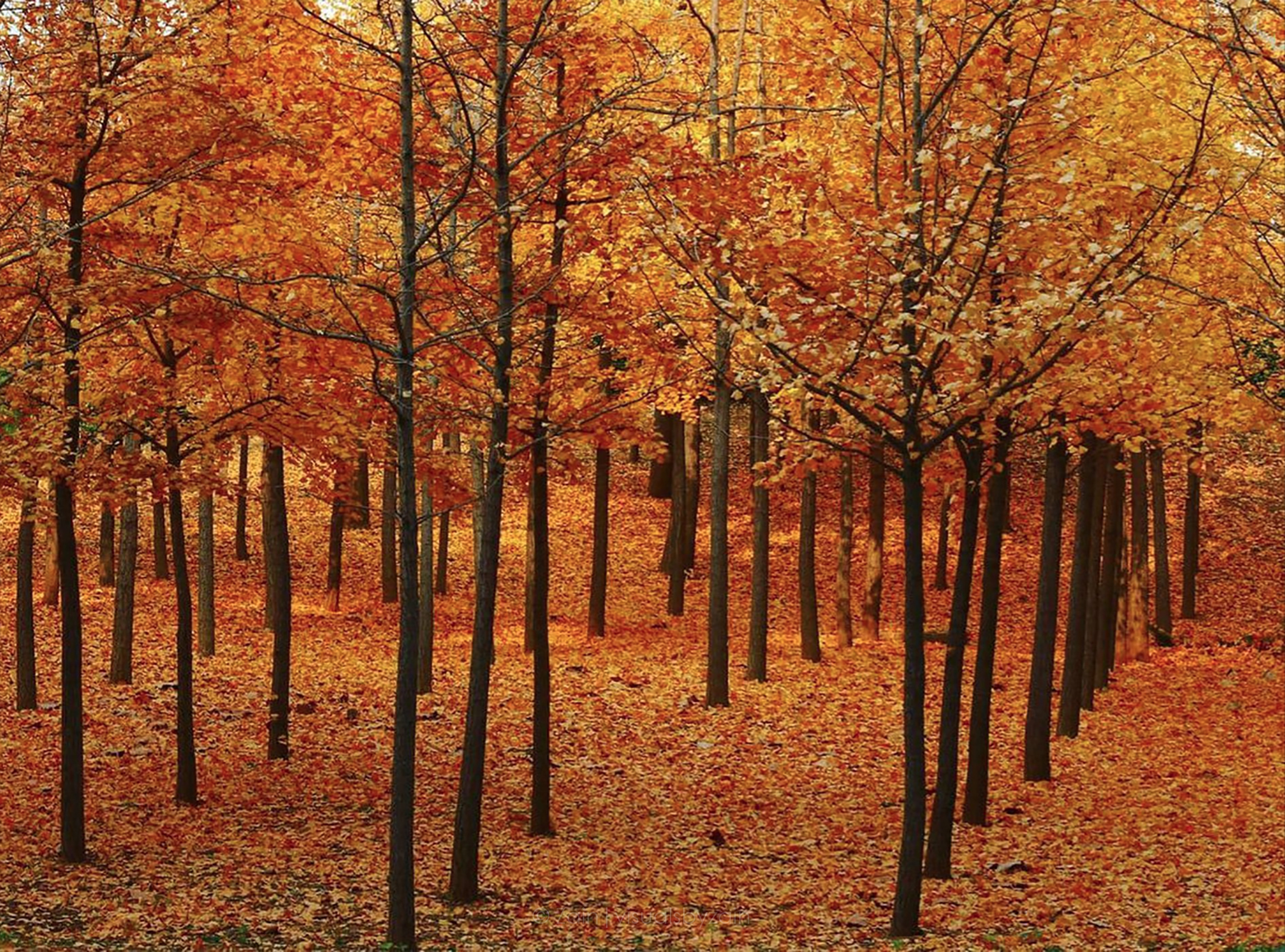 大连沈阳十大宜居区,辽宁双子星沈阳大连