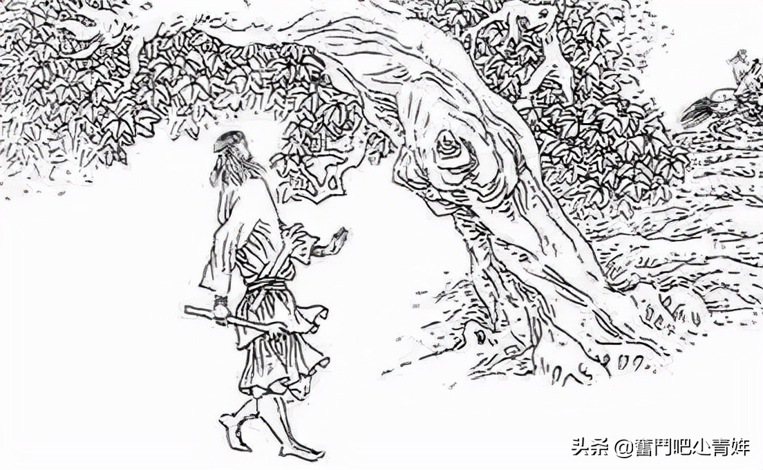 天龙八部第四十七章,天龙八部第五章朗读