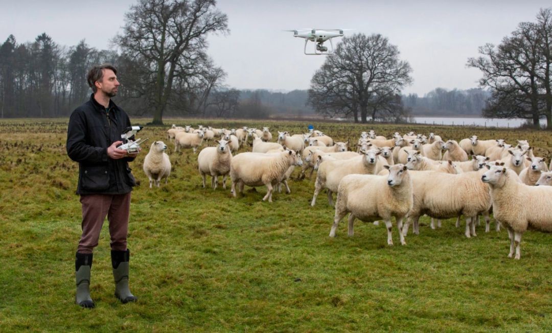 神奇的“绵羊之国”，面积是广东1.5倍，却比我国还发达