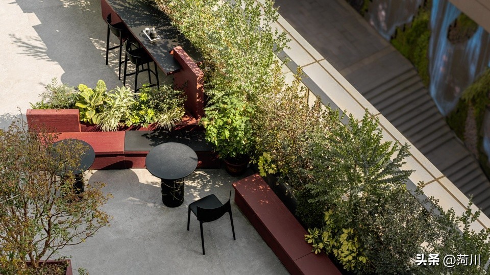 purenftea纯普茶,purenftea深圳