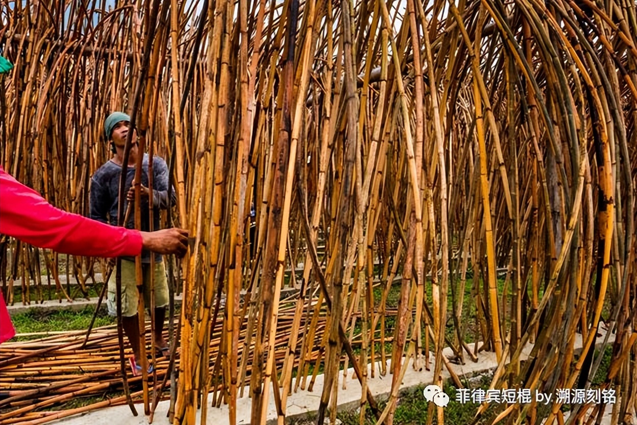 菲律宾短棍什么材质好,菲律宾短棍和中国少林棍