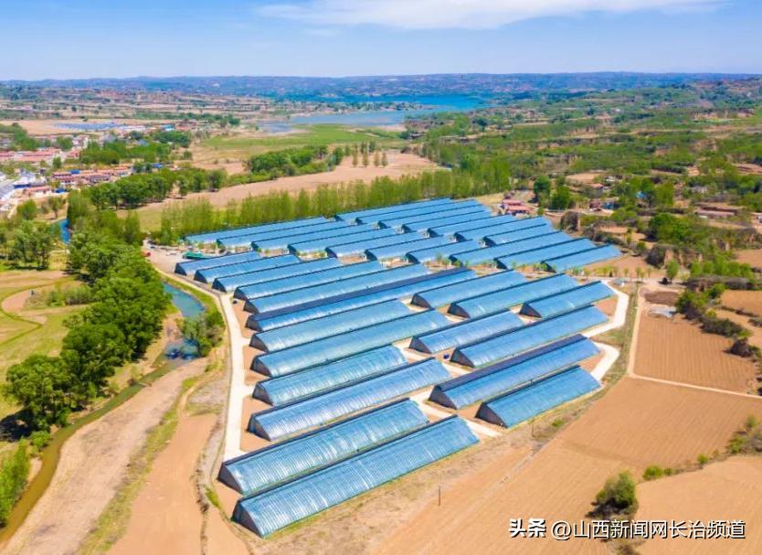 一村一品铺就脱贫致富路,一村一品带动村民增收致富