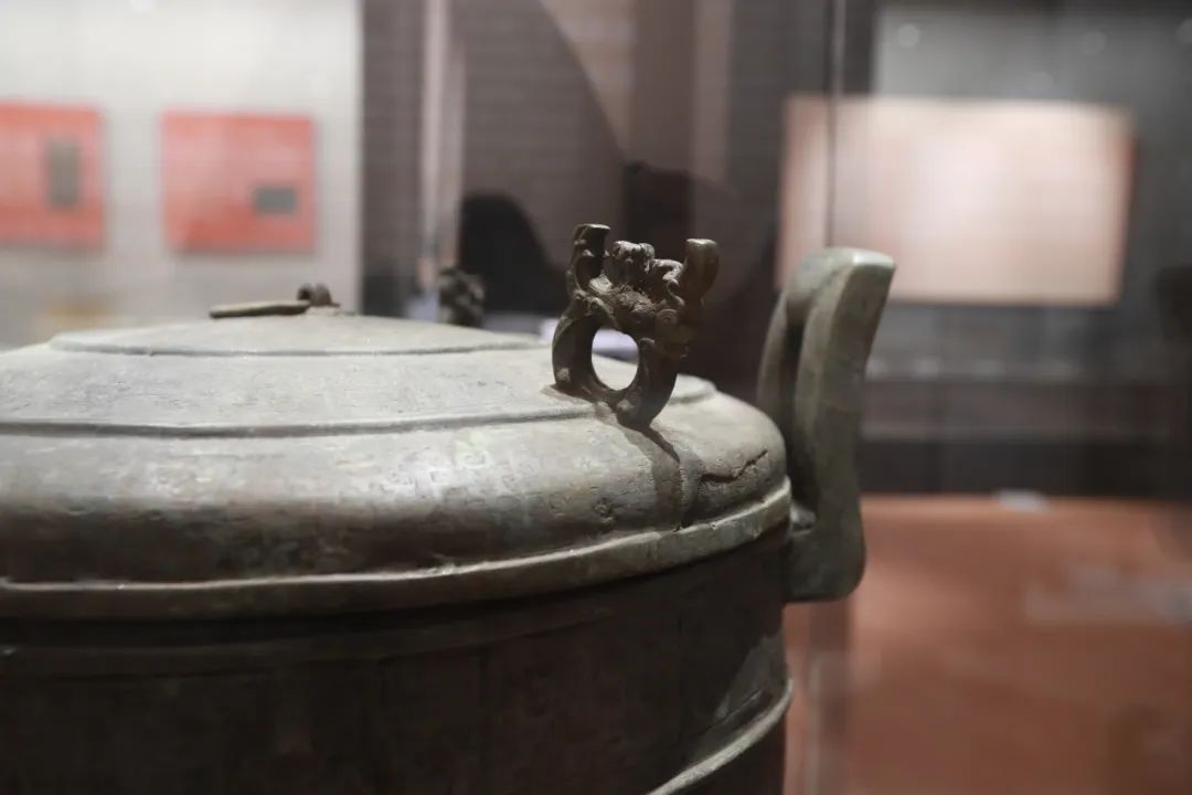 到咸宁看国宝过大年,离家45年的国宝回湖北咸宁过年