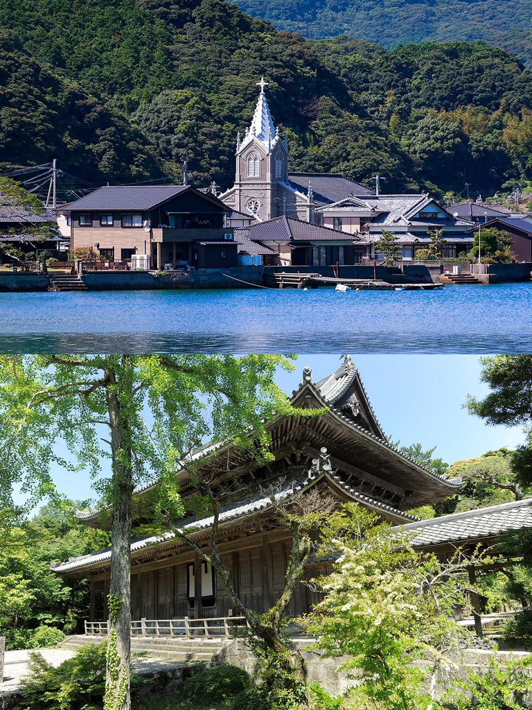 庞洛邮轮看海豚,庞洛邮轮全景图