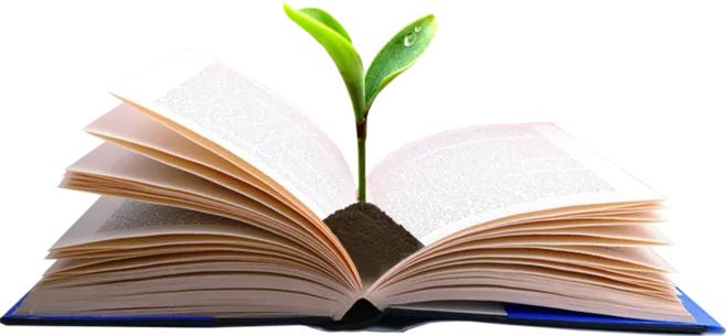 经历过的那些孤独我们称之为成长,孤独中的自我教育