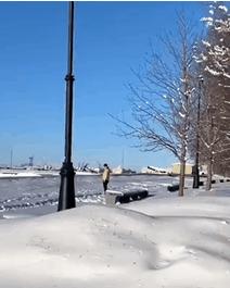 小哥也太菜了，不但没打中一个，还摔倒了，而且这不是足球