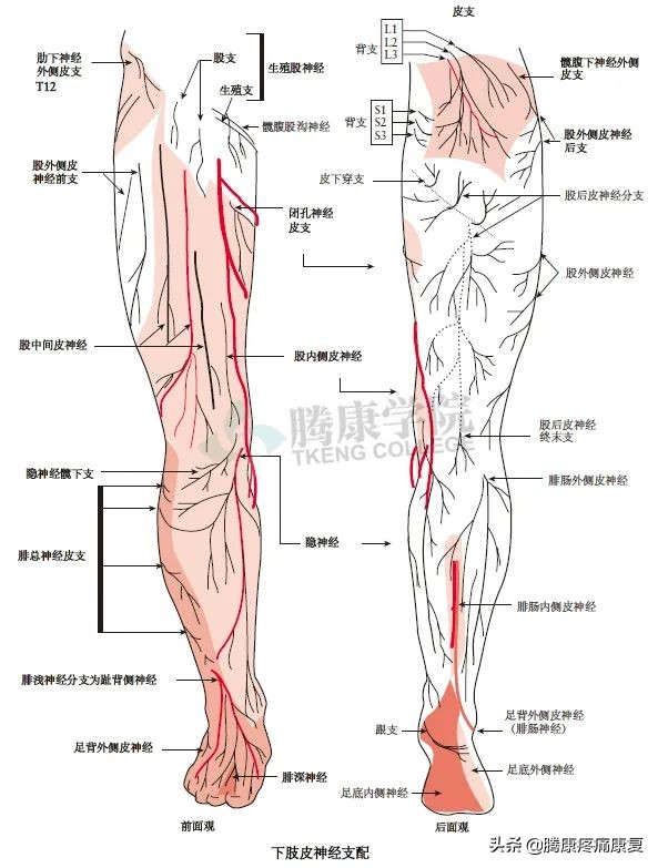 腰骶丛神经检查痛苦吗,腰骶椎不舒服怎样检查