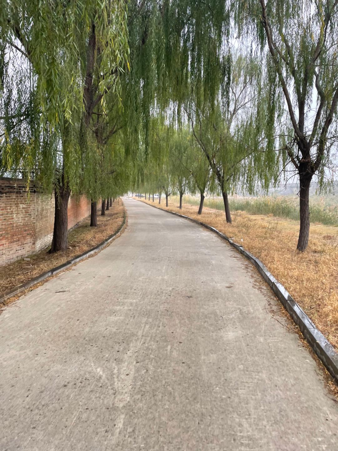 董董骑行山东,山东菏泽巨野县怎么样