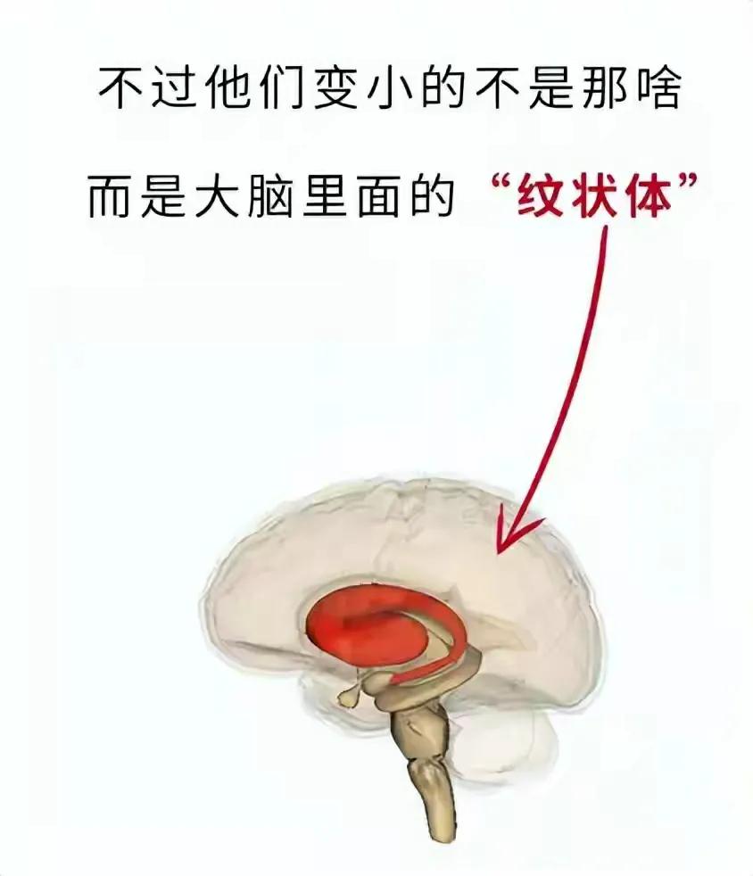 男女经常单独看电影意味什么,男女看电影有危险吗