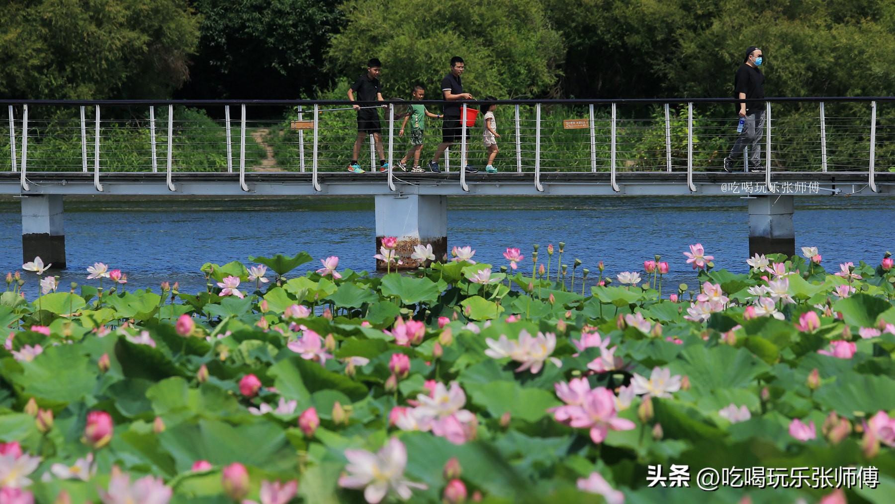 夜幕下哈尔滨大剧院高清大图,哈尔滨大剧院的冰雪与光影