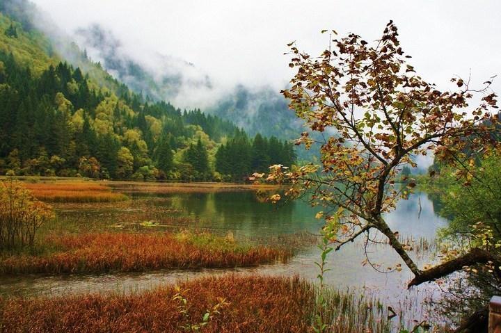 四川七日游旅行社报价，四川旅游7天6晚费用多少