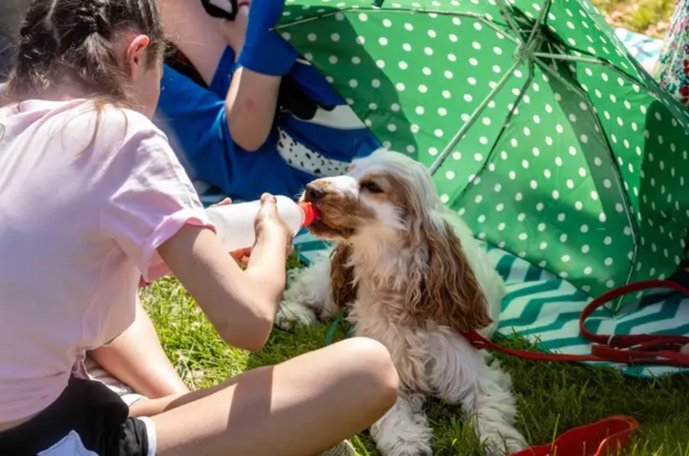 英国40度高温与中国40度高温,英国40度很热吗