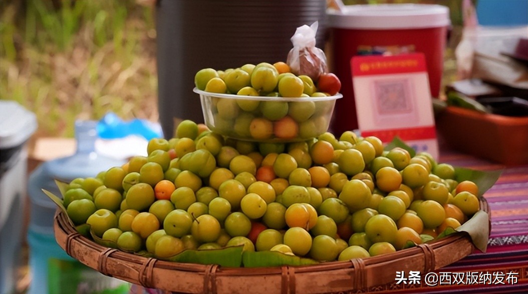 西双版纳泼水节文化讲解,云上泼水节之版纳之巅