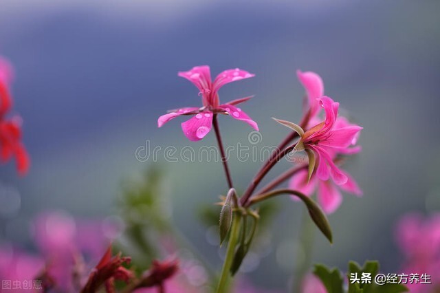 额头皱纹产生的原理是什么？