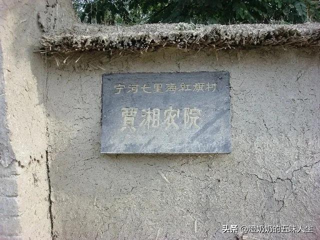 天津宁河七里海现在有什么玩的,宁河七里海五一