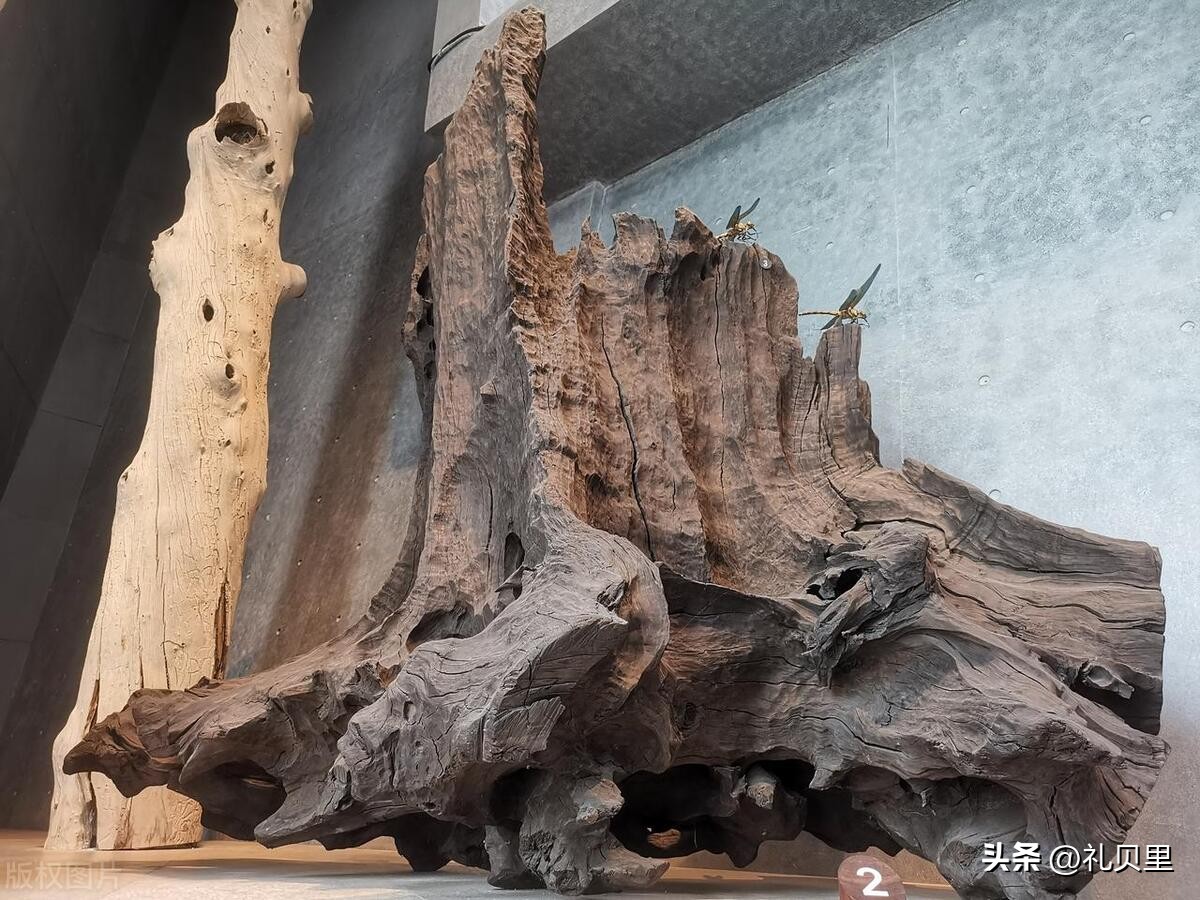 阴沉木桃木怎么辨别真伪,怎么辨别杉木阴沉木