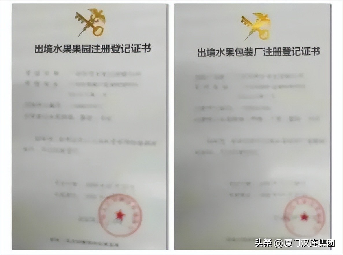 出境水果果园登记备案办理流程,出口果园注册备案