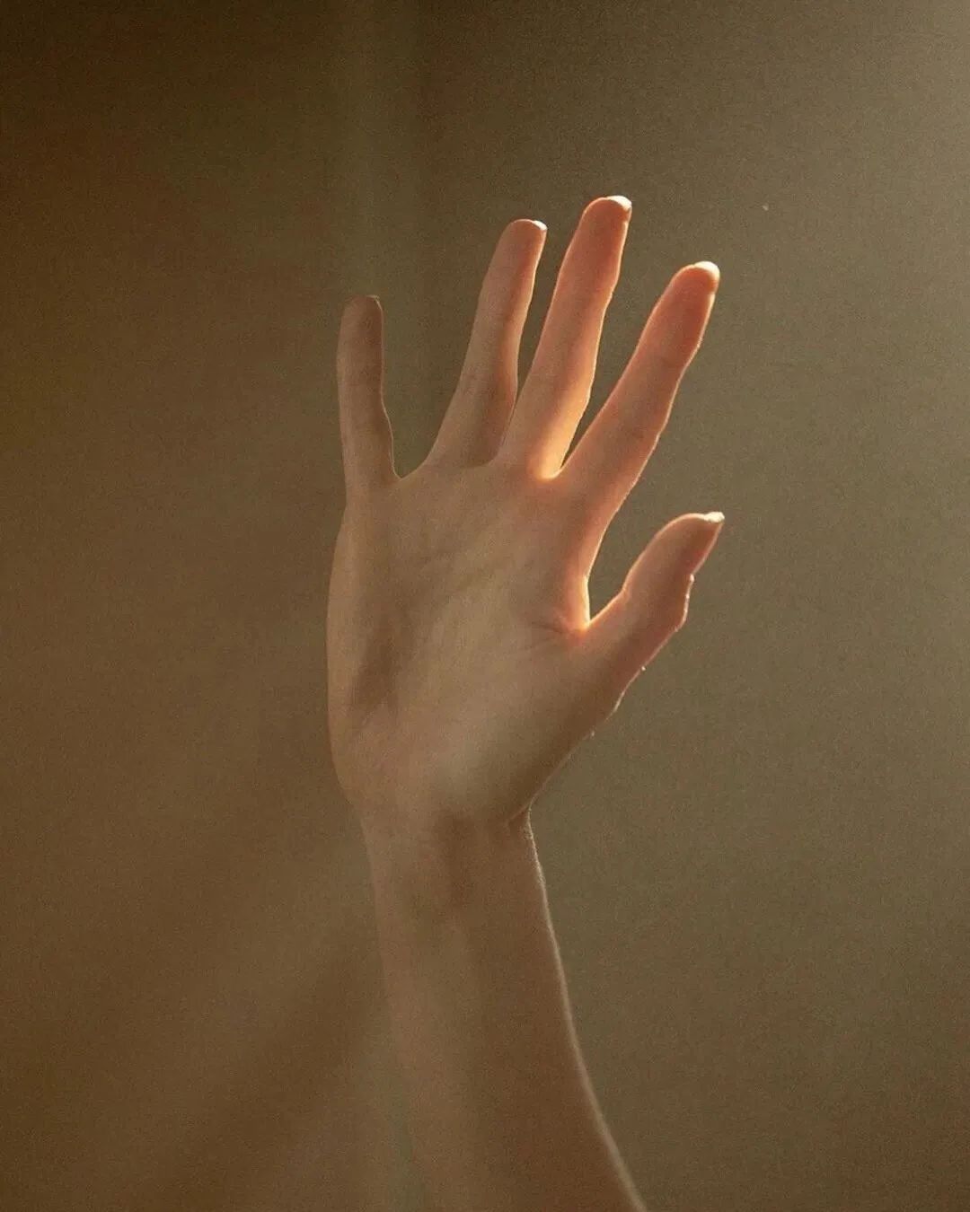 局部也性感：劳伦特的人体局部特写