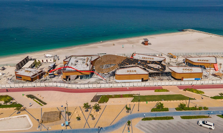 海滩冬季游玩攻略,冬季大梅沙海滩攻略