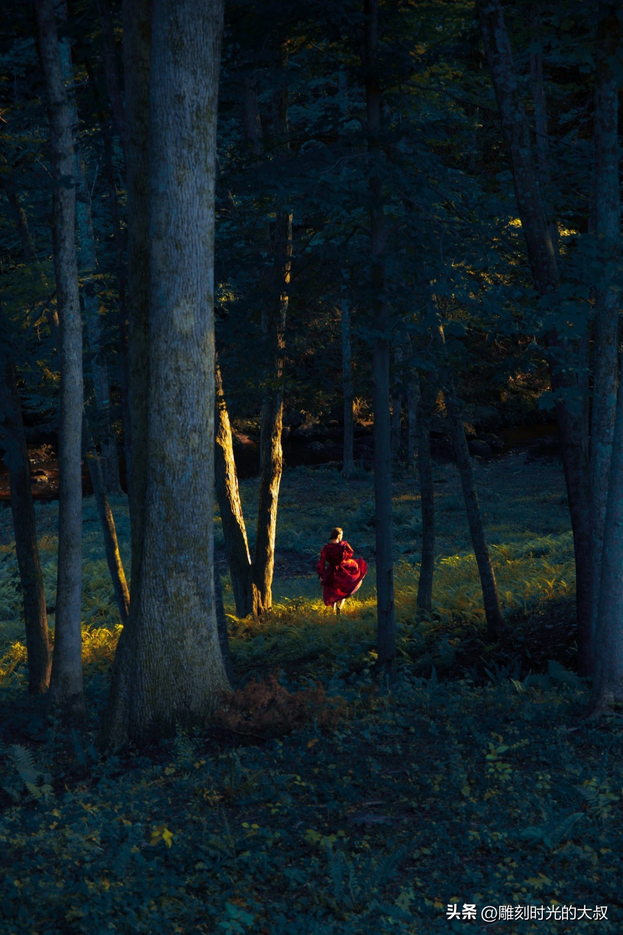 ai摄影师获奖,ai和摄影结合的摄影师