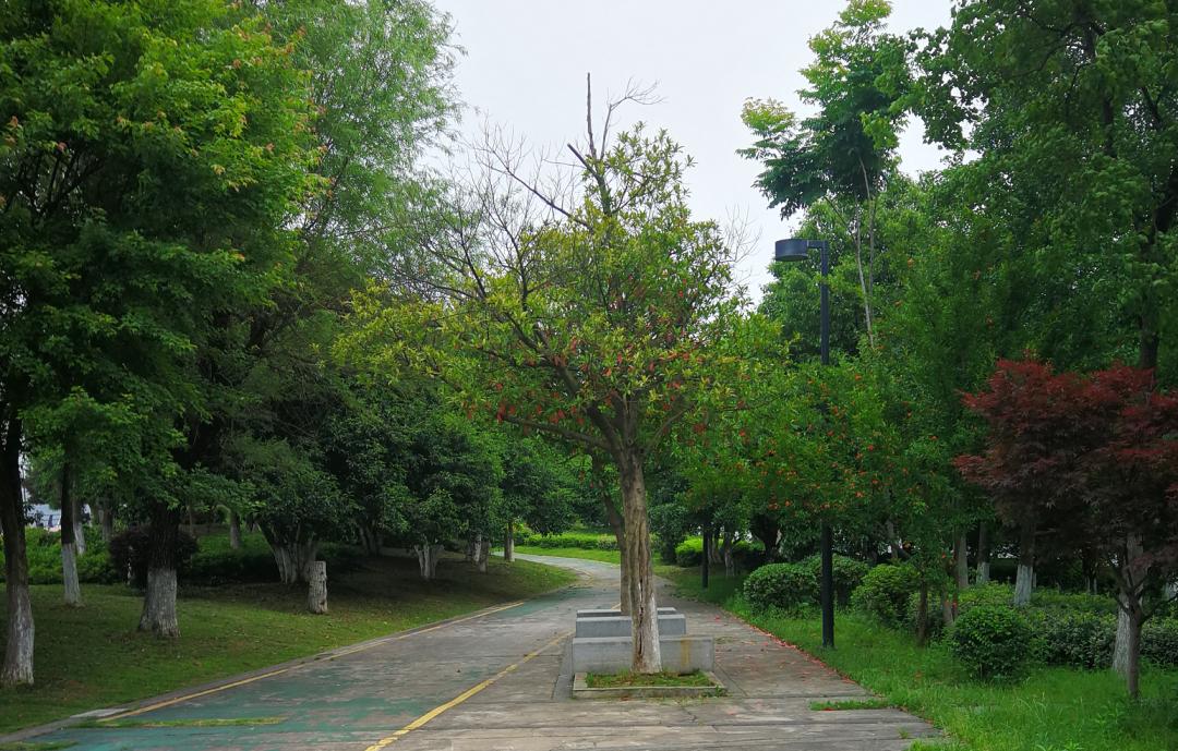 浏阳河9道弯,浏阳河九道湾