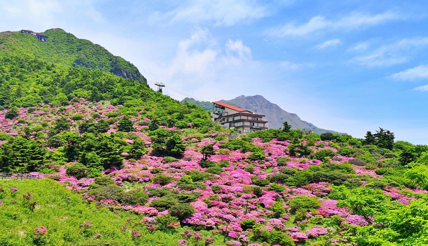 2022年日本北陆赏樱景点推荐,樱花季日本小众赏樱之旅