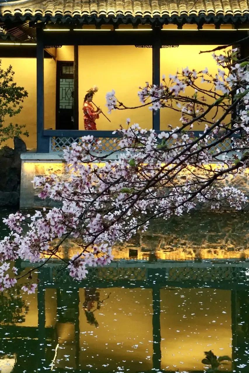 第27讲羊城花市畅想曲——原来，花是不美的