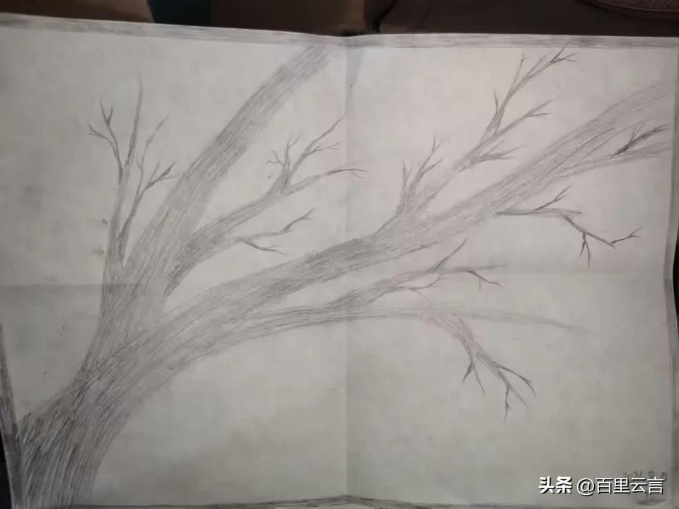 教育本身是一种有意义的事情,最好的教育是有意义的生活