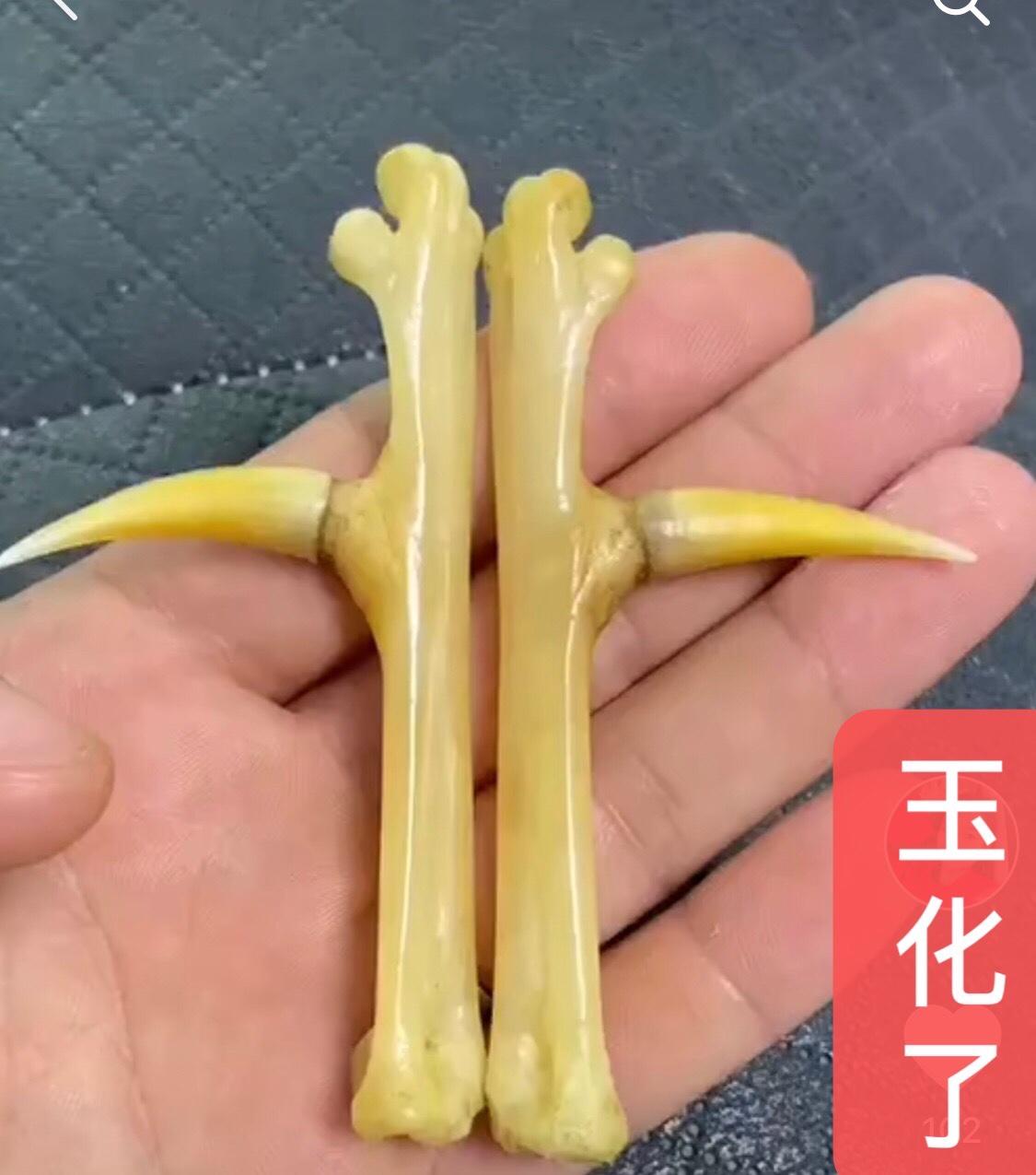 牛骨文玩一般什么颜色,牛骨文玩用哪个部位的骨头