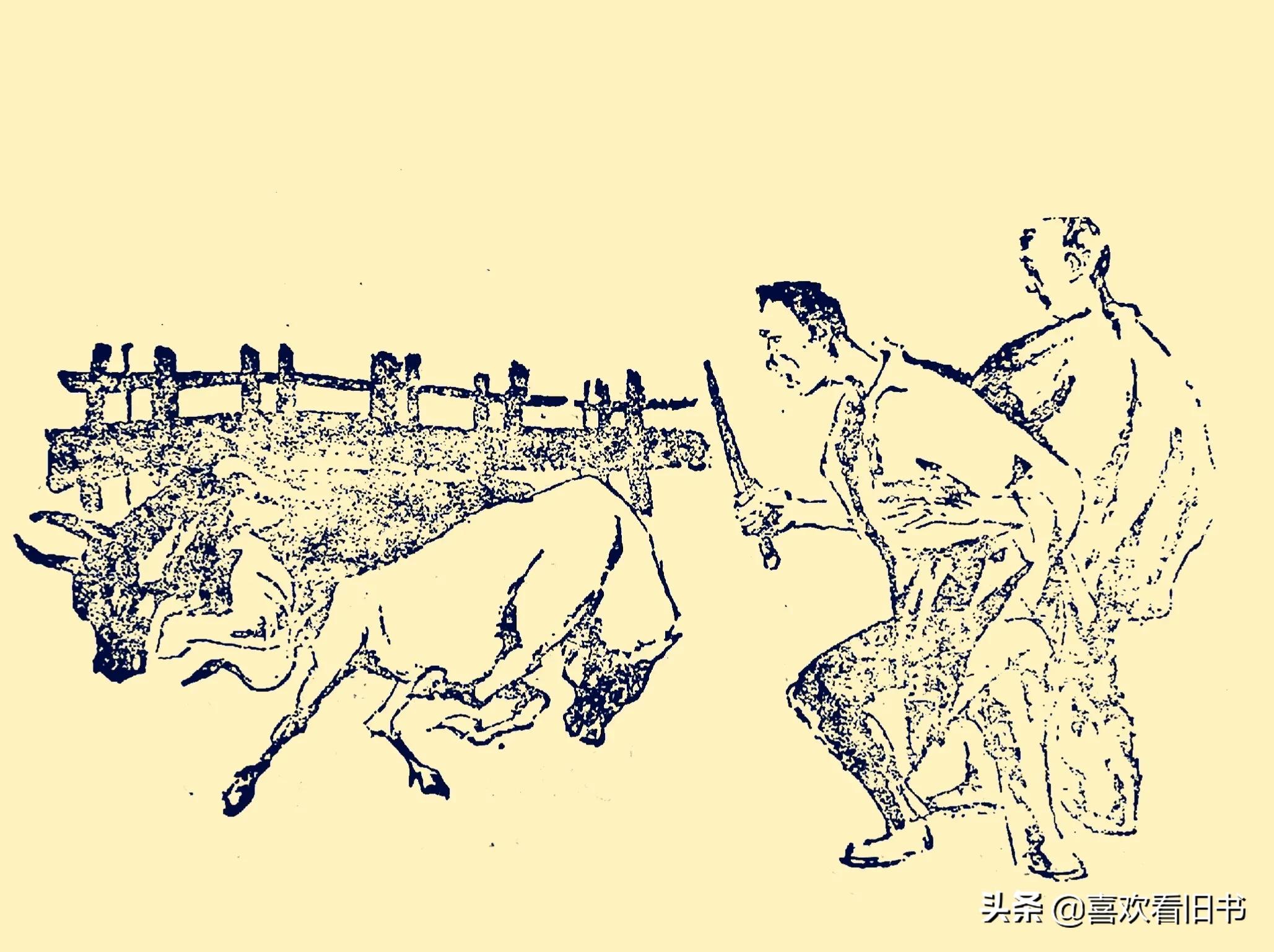 民间故事小白狐报恩,民间故事老黄牛救小黄牛