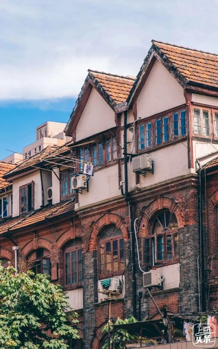 上海周末骑行好去处,上海周边适合春天骑行的地方排名