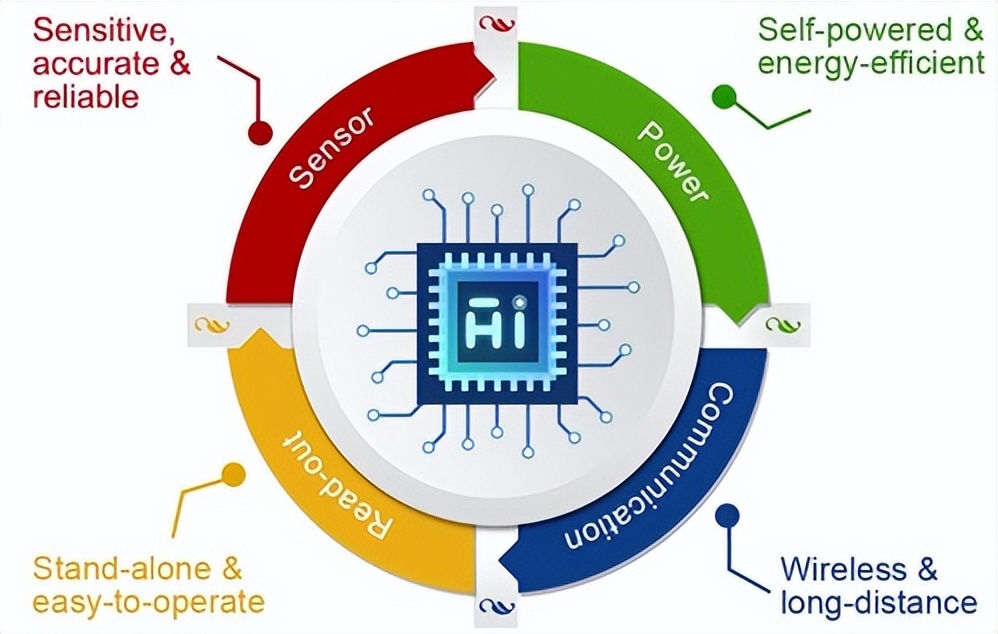 复旦团队发表研究成果,复旦大学最新科研消息