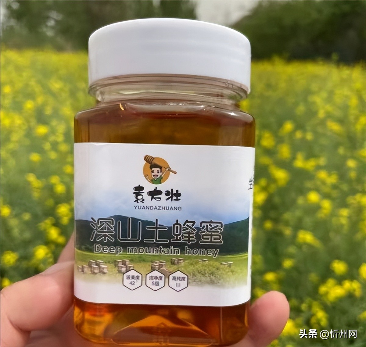 养蜂人买的蜂蜜放冰箱能放多久,蜜蜂新产的蜂蜜怎么保存