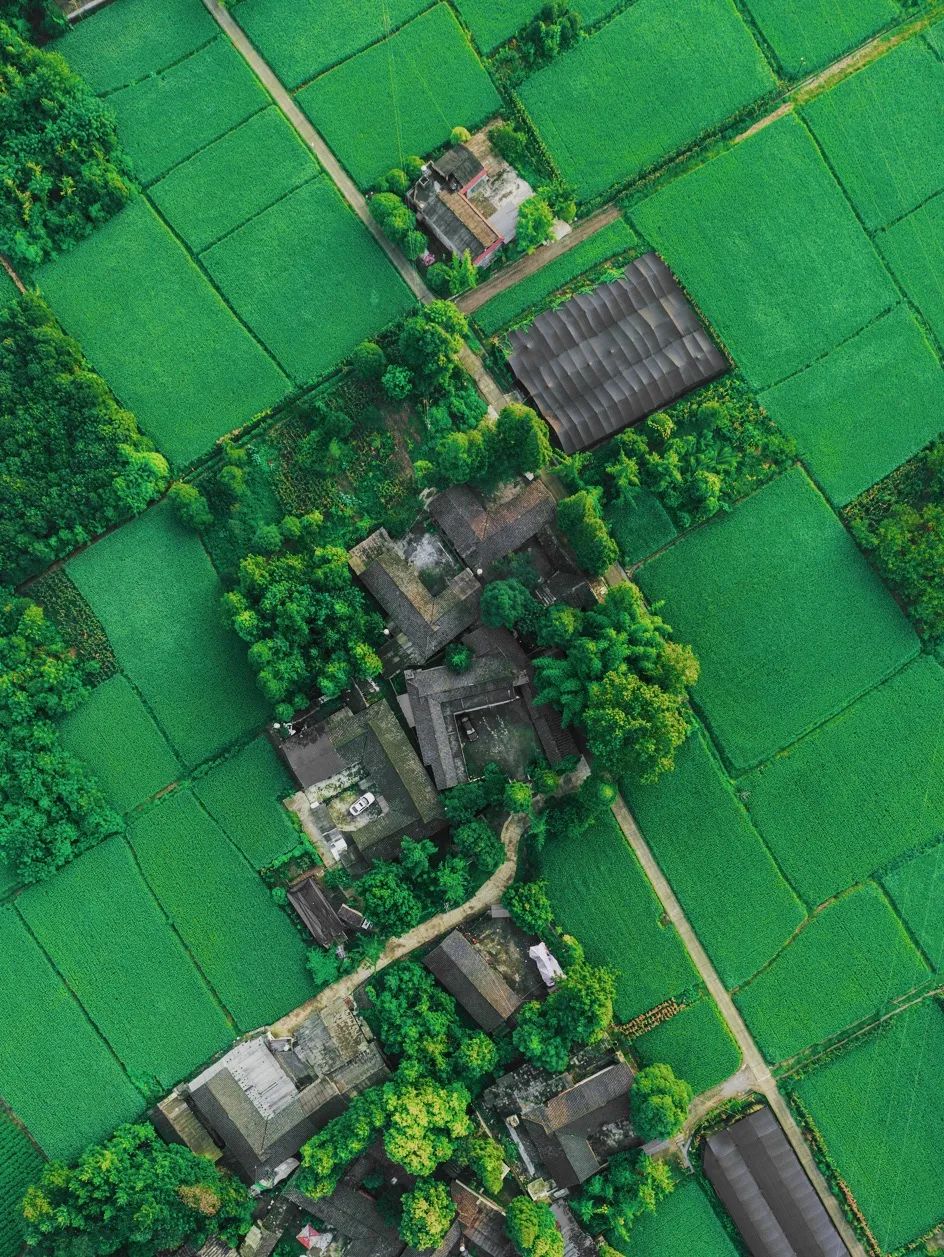 美酒成都,成都的美酒