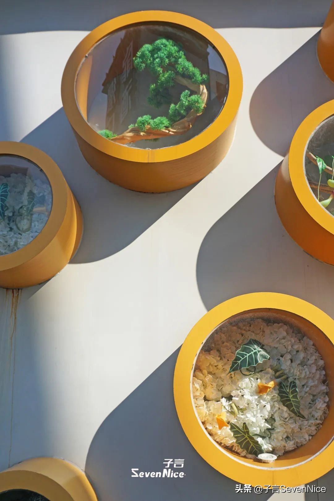 南昌的雨后天晴,南昌的风和雨