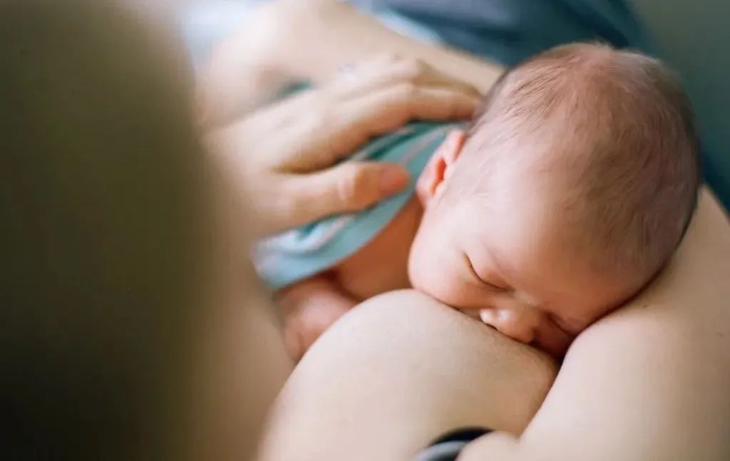 堵奶发烧的最佳自救方法,堵奶自救法