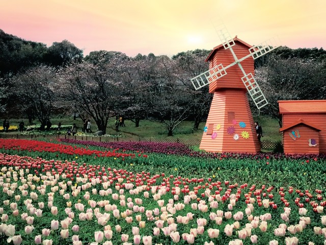 2023高考作文范文朗诵,高考作文考点2023