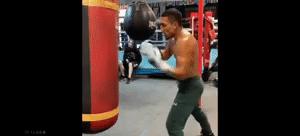 开始格斗的必练基础大全,格斗新手入门训练方法