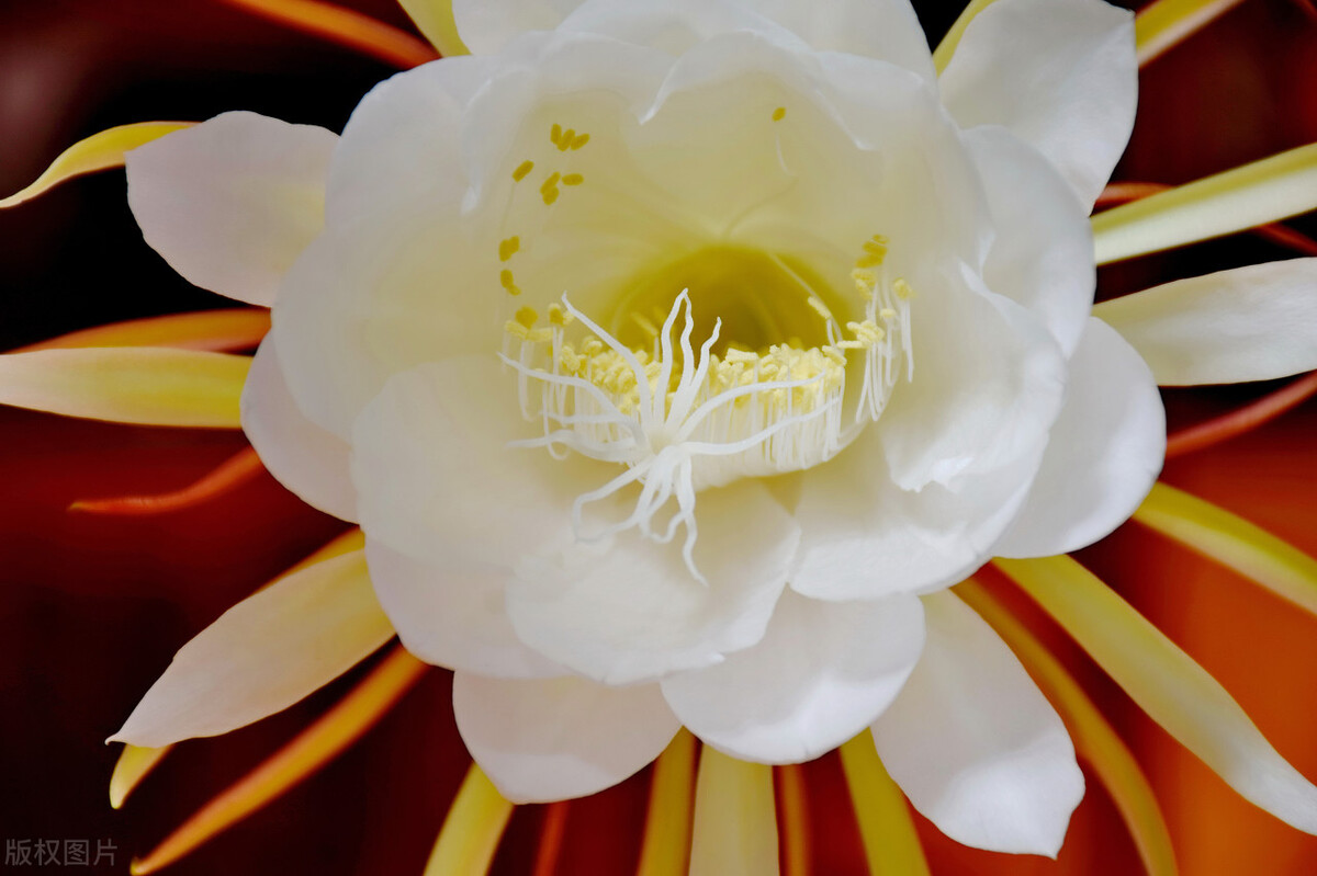 有一种累叫想太多图片,想太多会累的句子