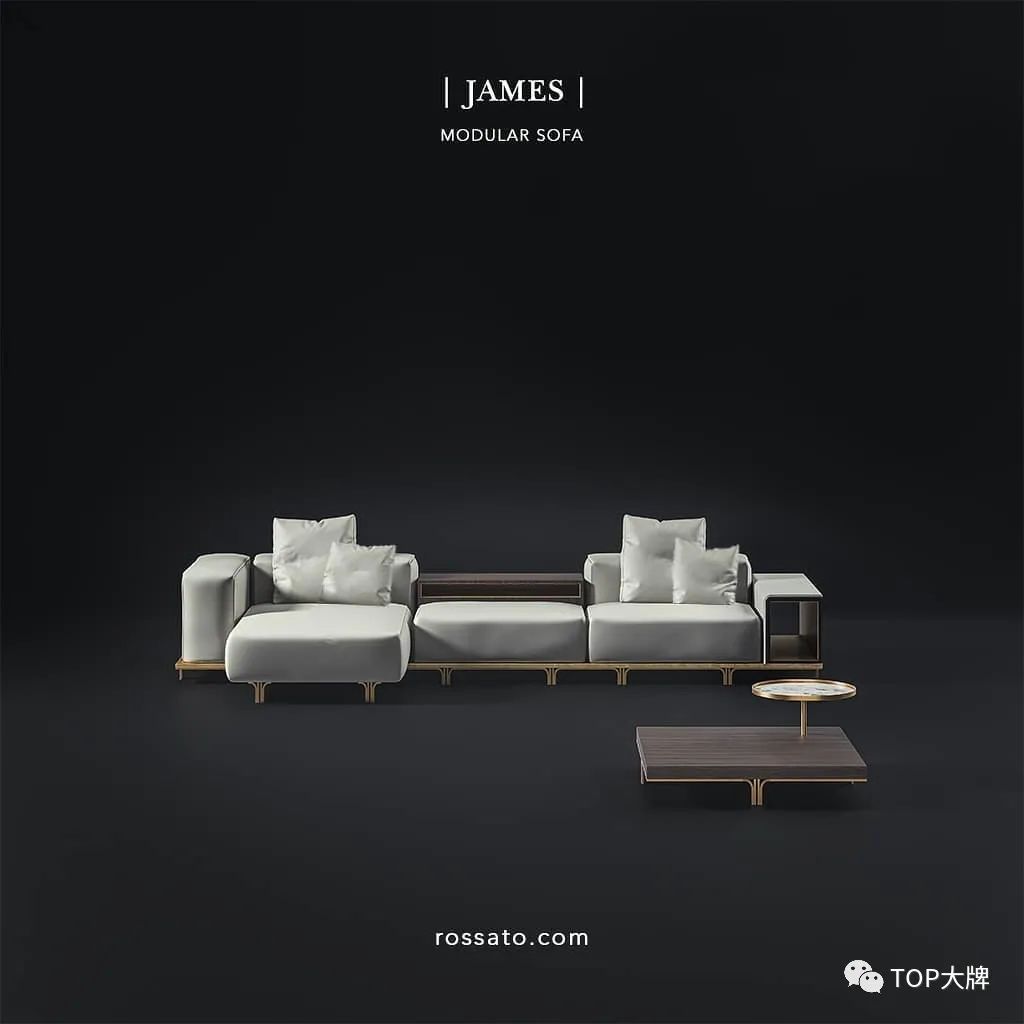 鎰忓ぇ鍒﹔osarubra绾㈤厭,鎰忓ぇ鍒﹔ossa绾㈤厭