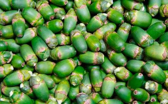 吃冰槟榔的危害,槟榔加酒的危害