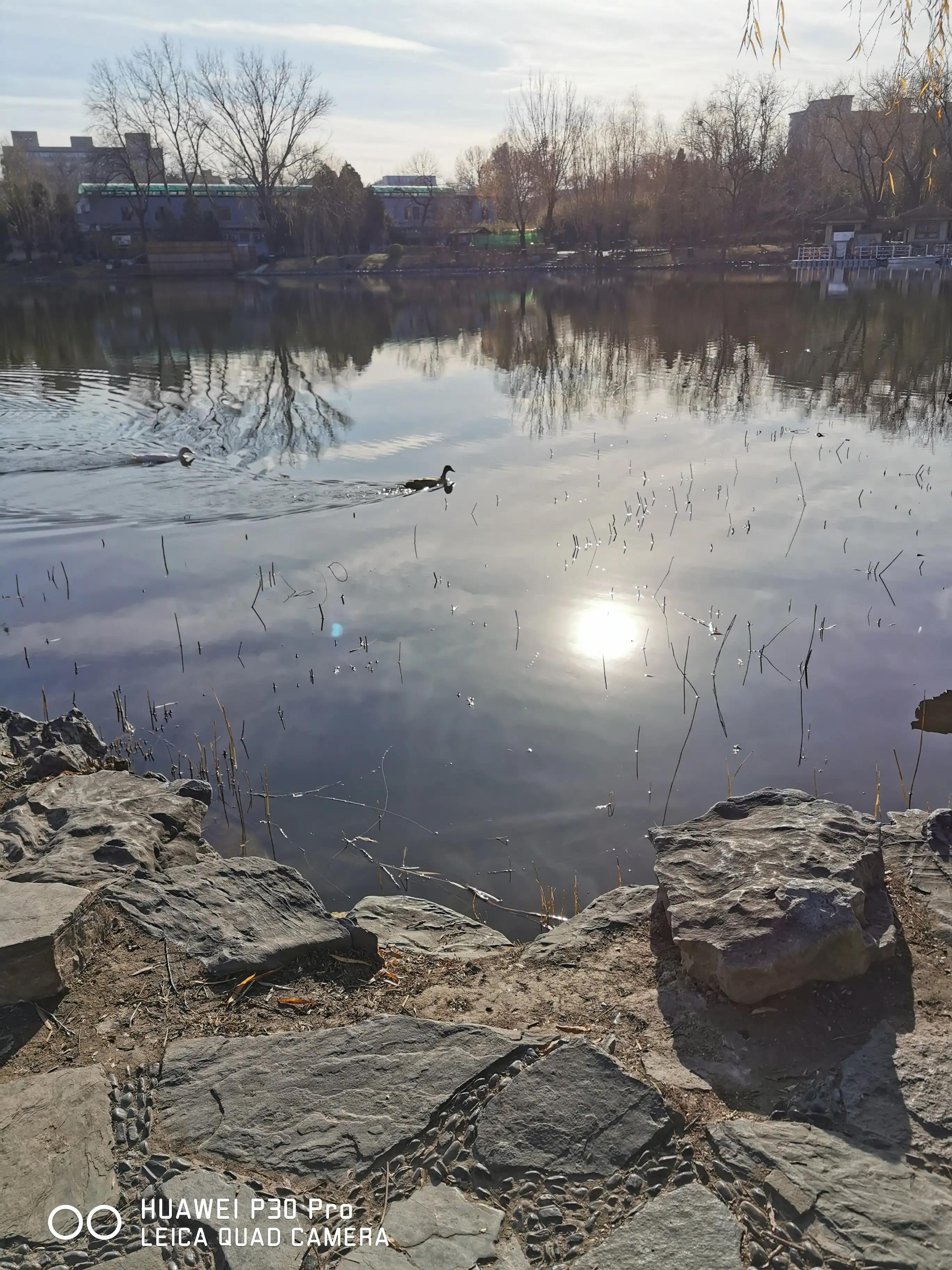 感觉如何产生,感觉如何解释