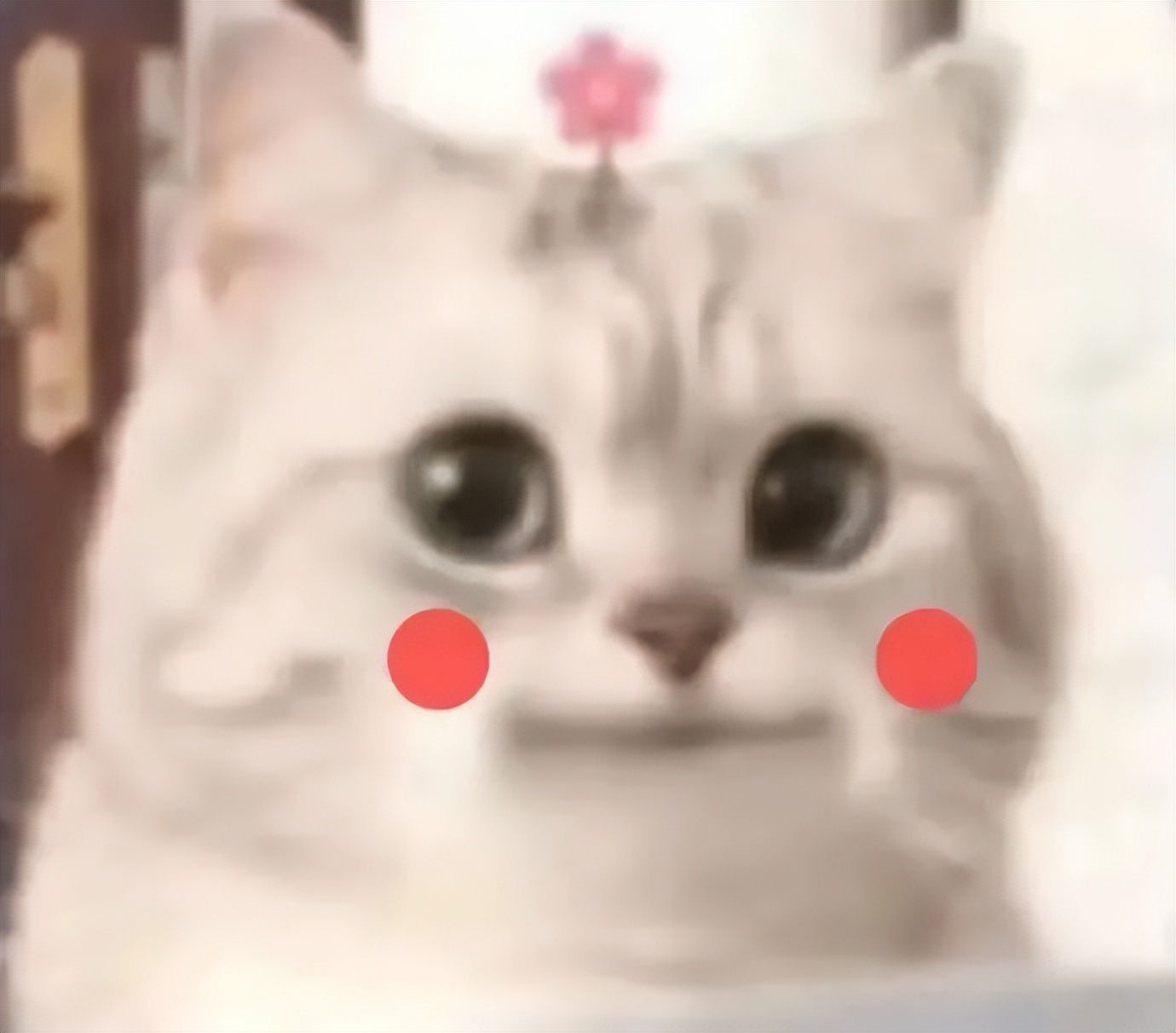 “男友花4200买Prada绿帽子？”网友笑疯：爷可以免费给别人戴