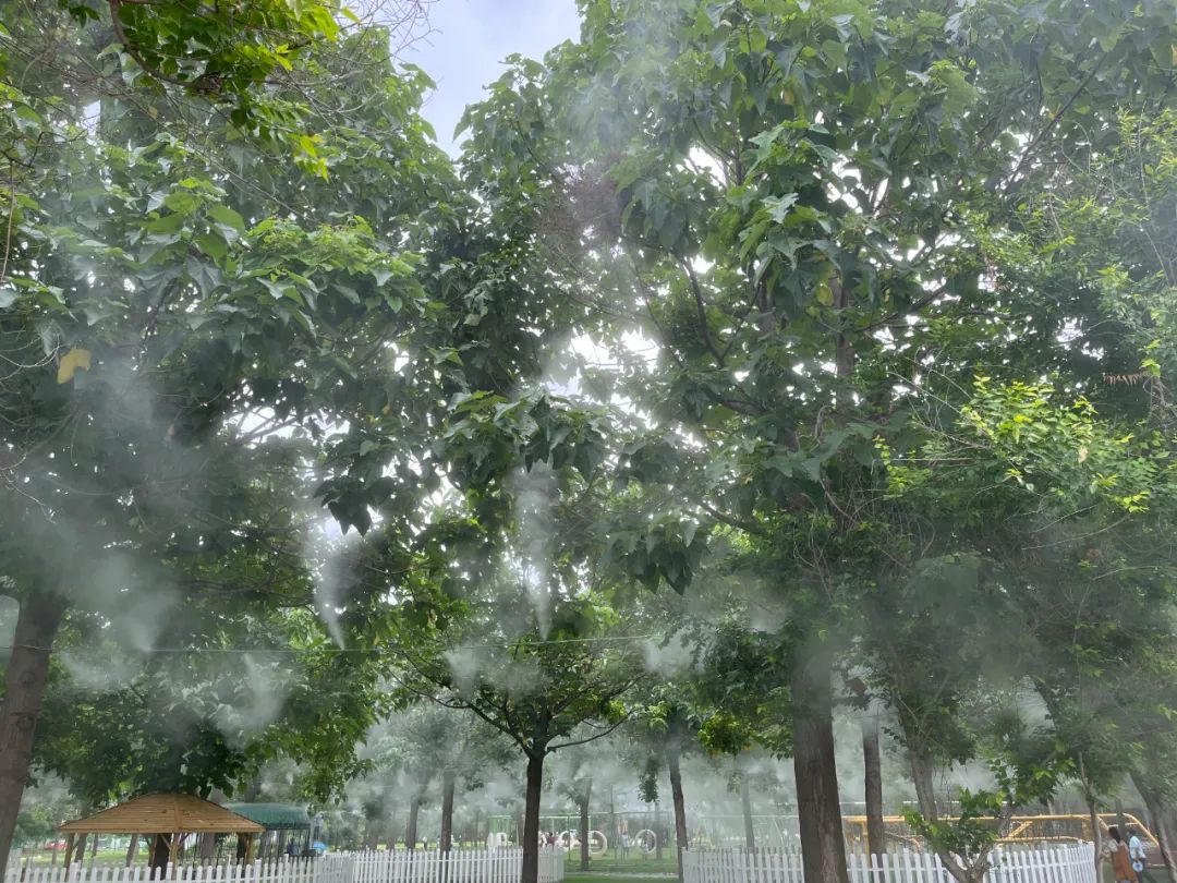 休闲农业与乡村旅游项目分析,休闲农业与乡村旅游什么时候开始