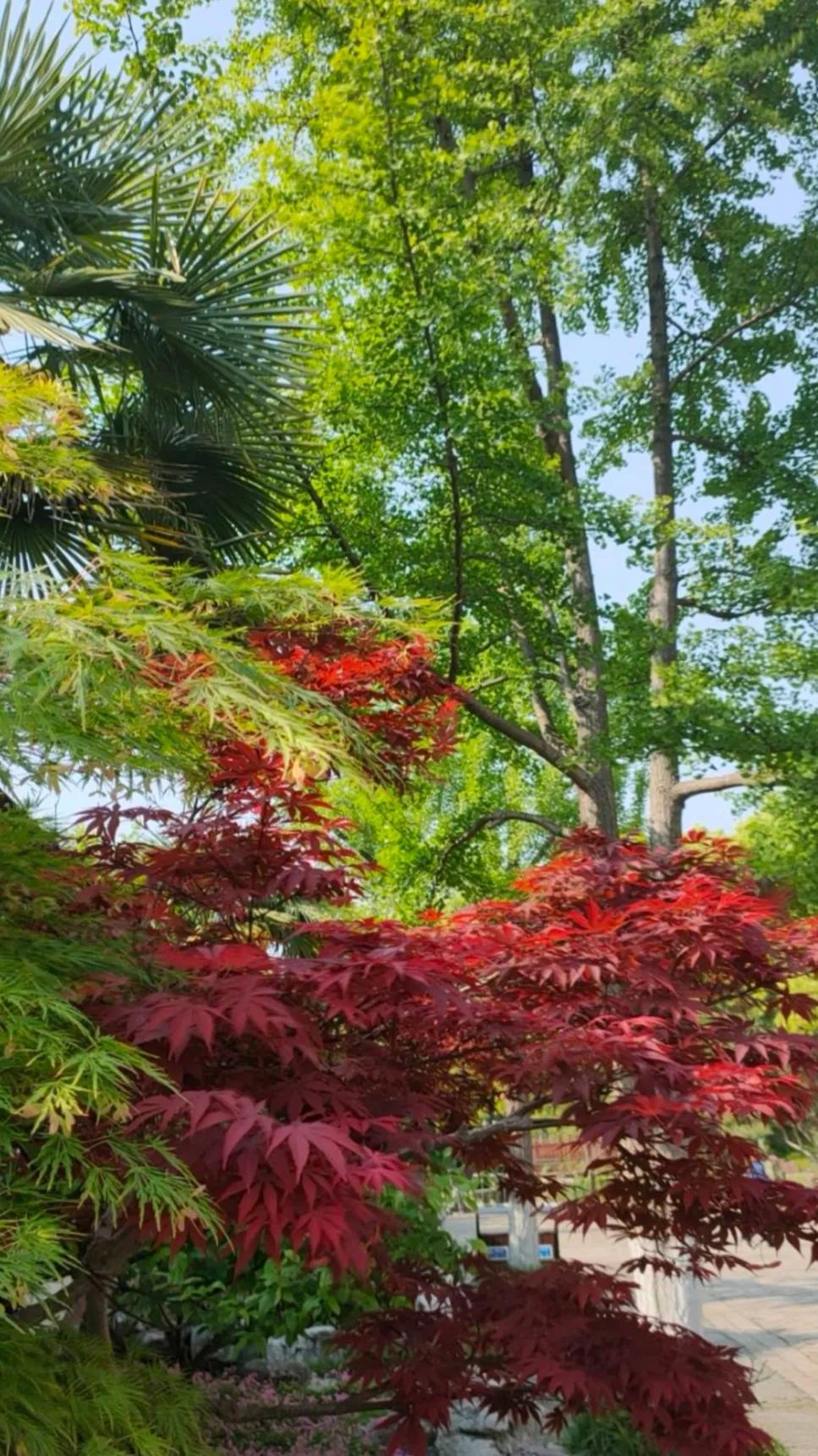 苏州美丽的山,苏州美丽的寺庙